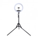LED Ring Lamp 34.5cm with Tripod Stand up to 1.85m, Mirror, Phone Clamp, USB